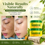 Temulawak Day & Night Beauty Cream Set 50g | Daily Moisturizing Face Cream Duo